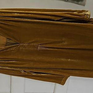 Velvet Anthropologie dress